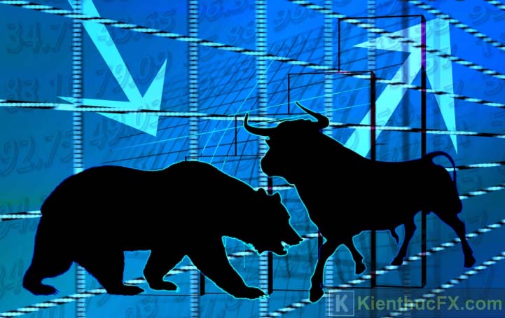 Bull vs Bear Market